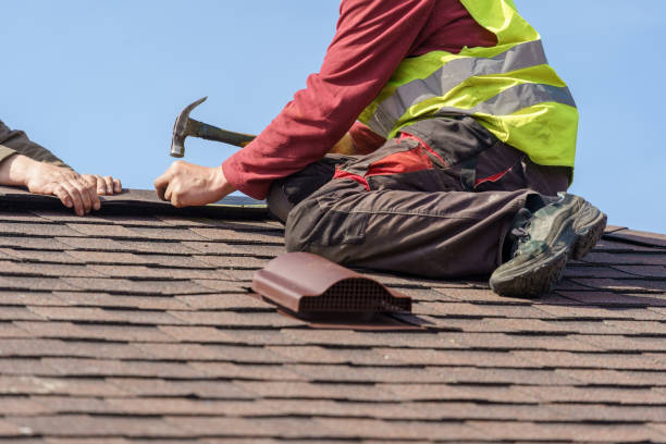 Best Roof Repair Services  in Pinckney, MI