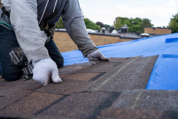 Best Sealant for Roof  in Pinckney, MI