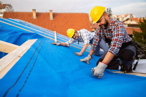 Roof Waterproofing Services in Pinckney, MI