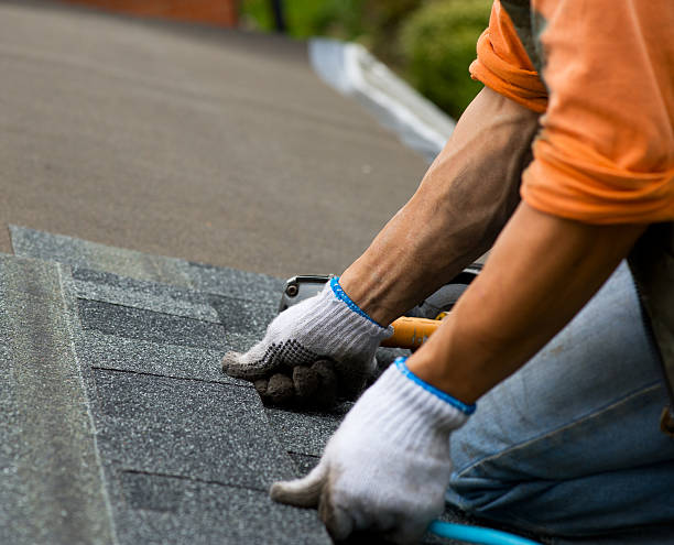Best New Roof Installation  in Pinckney, MI