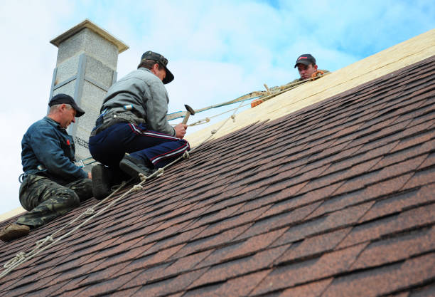 Best Roof Restoration Services  in Pinckney, MI